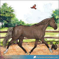 Horse Color:Liver Red Dun 