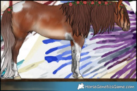 Horse Color:Chocolate Bay Tobiano 