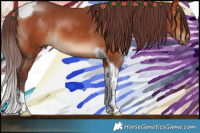 Horse Color:Chocolate Bay Tobiano 