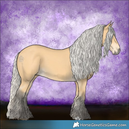 Horse Color:Silver Buckskin 