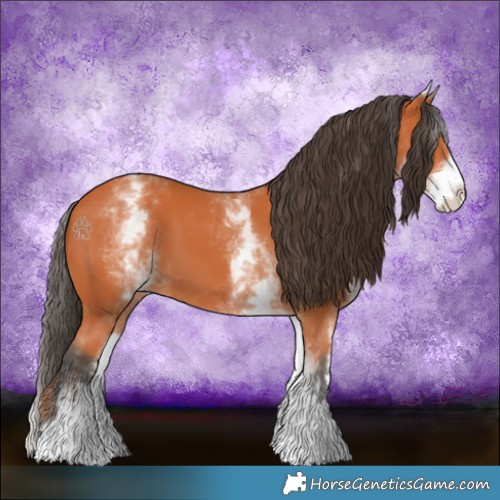 Horse Color:White Spotted Bay 