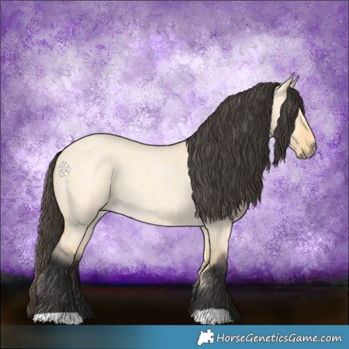 Horse Color:Buckskin Roan Dun 