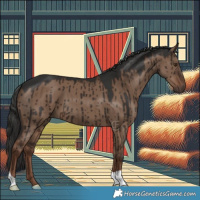 Horse Color:Liver Red Dun Brindle 