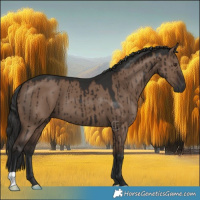 Horse Color:Liver Red Dun Brindle 