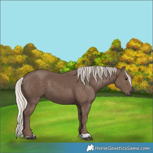 Horse Color:Silver Black 