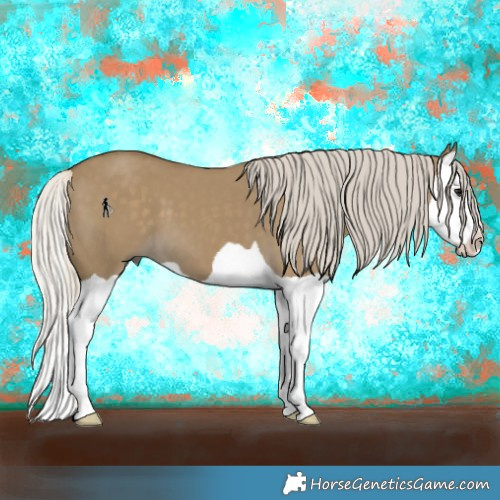 Horse Color:Silver Smoky Grullo Splash