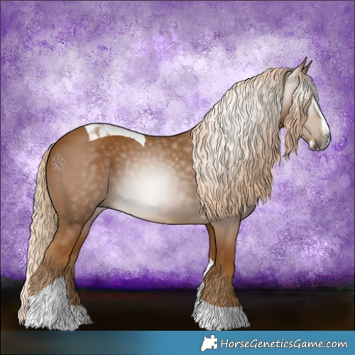 Horse Color:Gray Palomino Splash Tobiano 