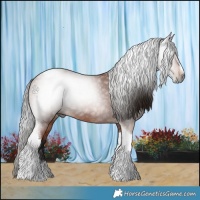 Horse Color:Gray Bay Splash Tobiano Frame 
