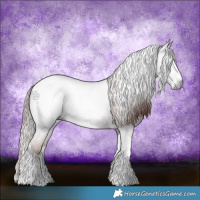 Horse Color:Gray Chestnut Splash Tobiano 
