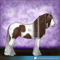 Horse Color:Gray Chestnut Splash Tobiano 