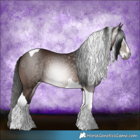 Horse Color:Gray Bay Splash Tobiano 