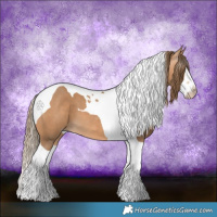 Horse Color:Gray Perlino Splash Tobiano 