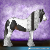 Horse Color:Gray Liver Chestnut Splash Tobiano
