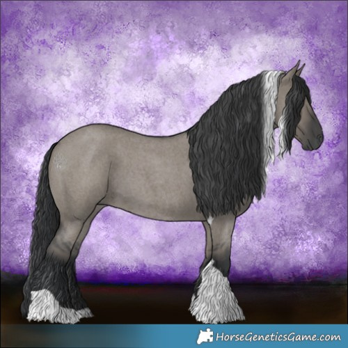 Horse Color:Grullo Roan Tobiano