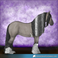 Horse Color:Grullo Roan Tobiano 