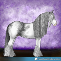 Horse Color:White Spotted Black 