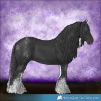 Horse Color:White Spotted Black 