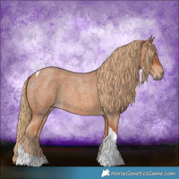 Horse Color:Red Roan Tobiano 