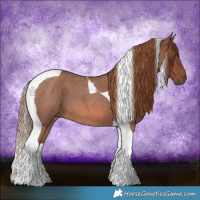 Horse Color:Red Roan Tobiano 