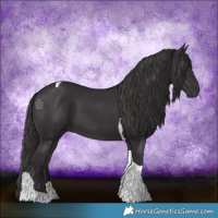 Horse Color:Smoky Black Tobiano 