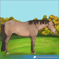 Horse Color:Amber Champagne