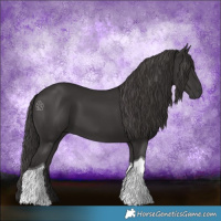Horse Color:Smoky Black Tobiano 