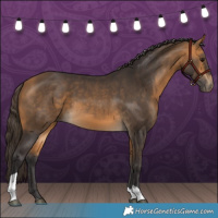 Horse Color:Buckskin Tobiano 