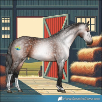 Horse Color:Gray Bay Tobiano 