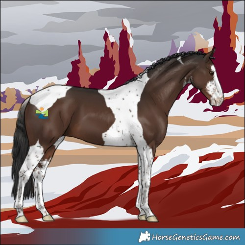 Horse Color:White Spotted Liver Chestnut Tobiano 