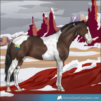 Horse Color:White Spotted Liver Chestnut Tobiano 