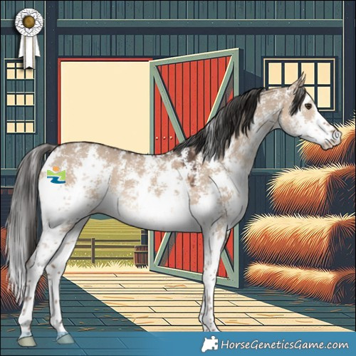 Horse Color:Liver Red Dun Sabino 