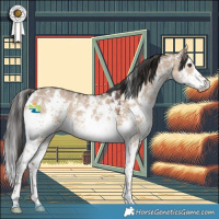 Horse Color:Liver Red Dun Sabino 