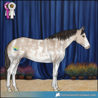 Horse Color:Liver Red Dun Sabino 