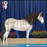 Horse Color:Liver Red Dun Sabino 