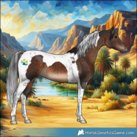 Horse Color:Brown Tobiano 