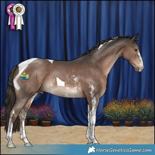 Horse Color:Liver Chestnut Sabino Tobiano 
