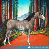 Horse Color:Liver Red Dun Sabino 