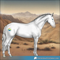 Horse Color:White Spotted Silver Brown Splash Snowcap Rabicano 