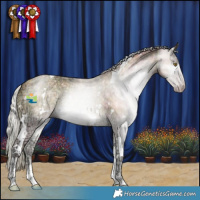 Horse Color:Gray Plaid  White Spotted Silver Sable Cream Champagne Ice Onyx Tobiano 
