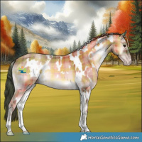 Horse Color:Plaid White Spotted Sable Champagne Onyx