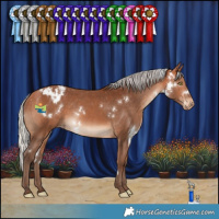 Horse Color:White Spotted Silver Bay Varnish Rabicano 