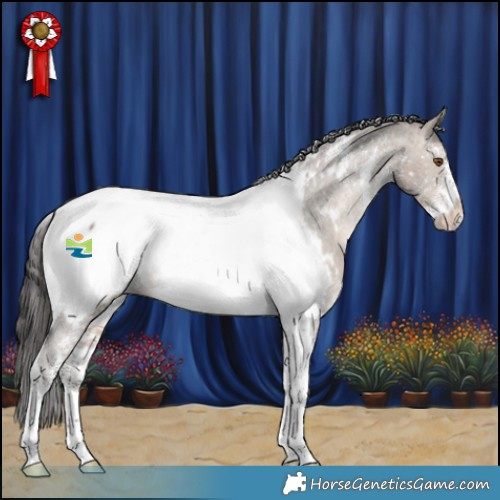 Horse Color:Bay Dun Sabino Tobiano Appaloosa Rabicano 