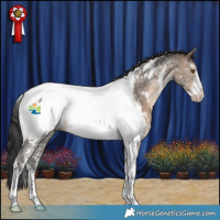 Horse Color:Bay Dun Sabino Tobiano Appaloosa Rabicano 