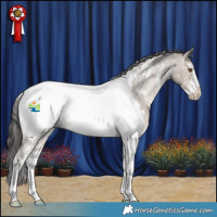 Horse Color:Bay Dun Sabino Tobiano Near Fewspot Rabicano 