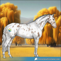 Horse Color:White Spotted Silver Brown Dun Tobiano Appaloosa Rabicano 