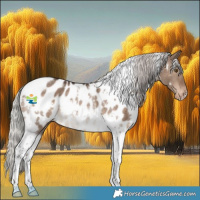 Horse Color:White Spotted Silver Brown Dun Tobiano Appaloosa Rabicano