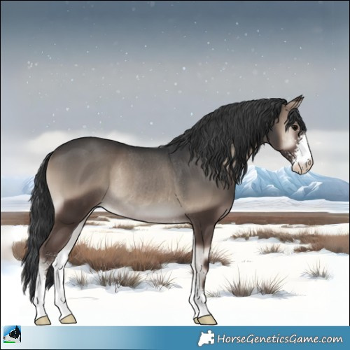 Horse Color:Blue Onyx Sabino Rabicano 