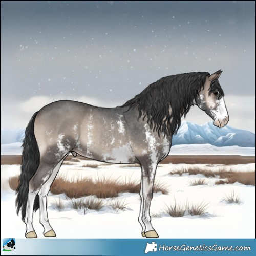Horse Color:Blue Onyx Sabino Rabicano 