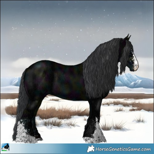 Horse Color:Midnight Black Ice Sabino 