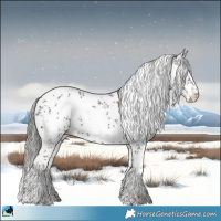 Horse Color:Liver Chestnut Mushroom Sabino Rabicano 